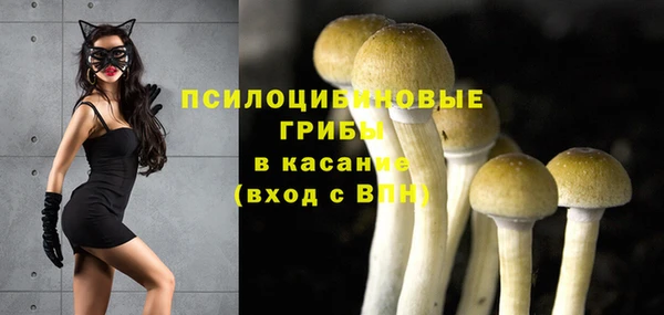 мдпв Дмитровск