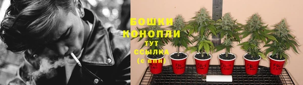 мдма Дмитриев