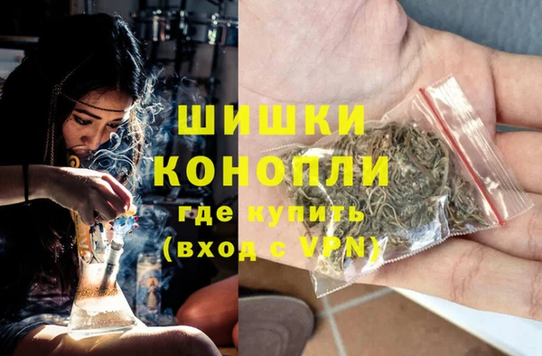 МДПВ Дмитров