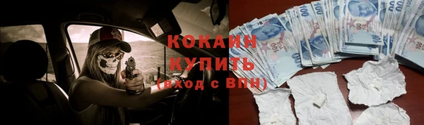 мдма Дмитриев