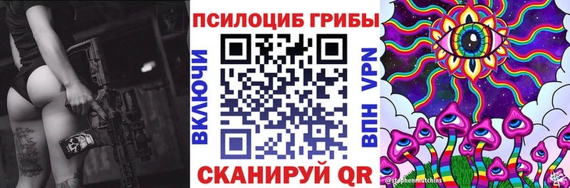 Купить  Тотьма  Псилоцибиновые грибы мухоморы 